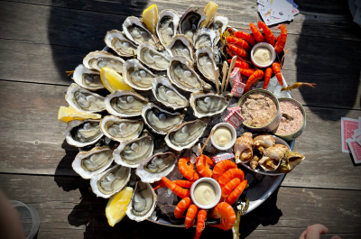 Catamaran ALMYRA devant le Cap Fréhel